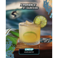 Табак для кальяна Darkside Xperience LIME UP (Лайм Биттер)